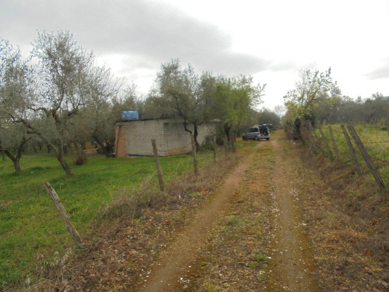 Maenza terreno a Latina in Vendita